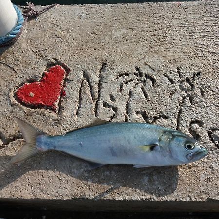 Apartment "I Love Njivice" 헤르섹 외부 사진